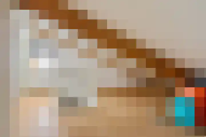 Visven 423 Veghel thumbnail 31