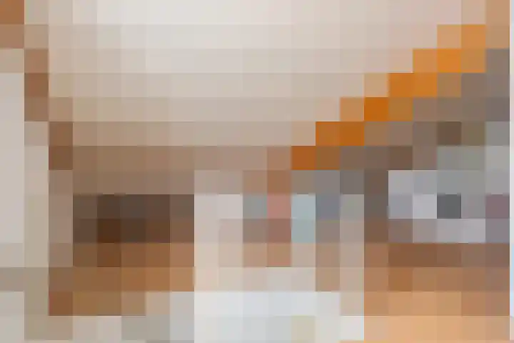 Visven 423 Veghel thumbnail 32