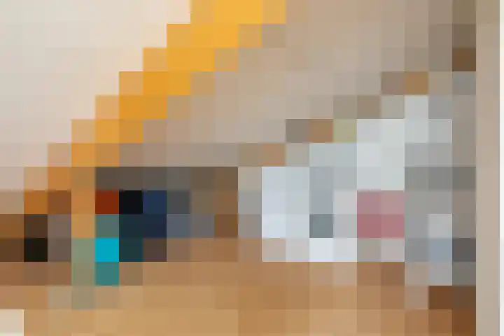 Visven 423 Veghel thumbnail 33