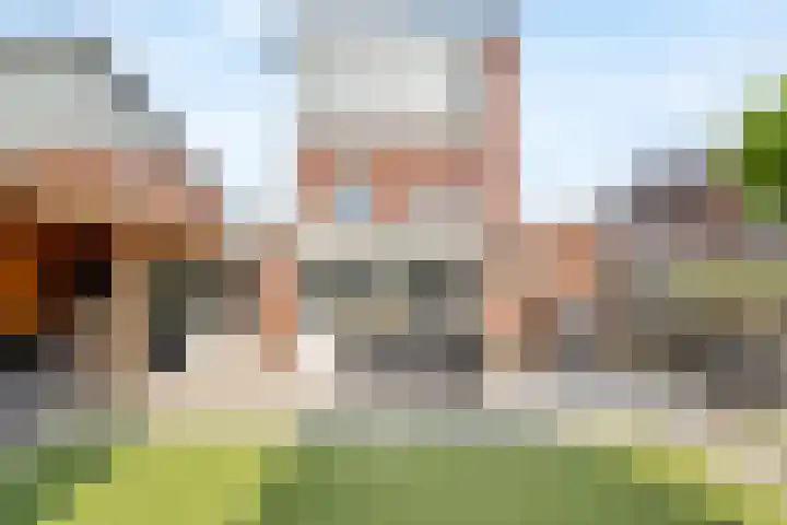 Visven 423 Veghel thumbnail 36