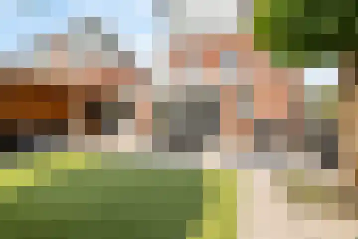 Visven 423 Veghel thumbnail 37