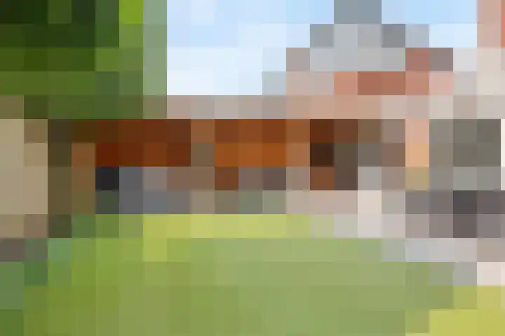 Visven 423 Veghel thumbnail 38