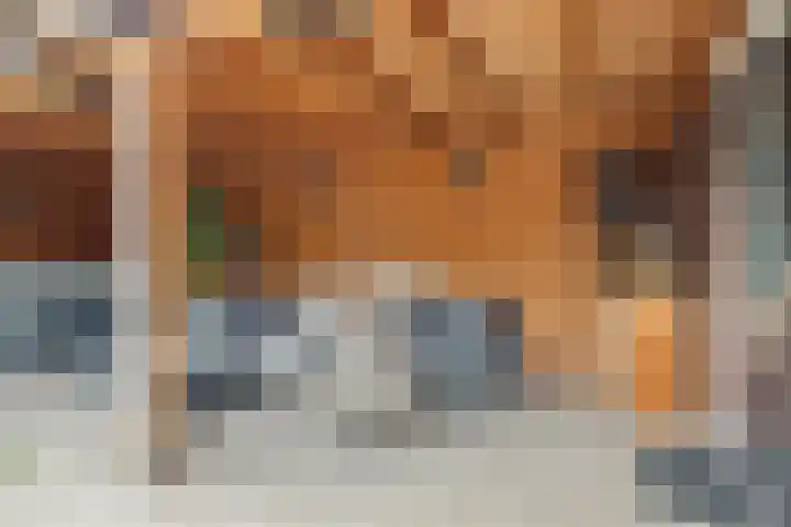 Visven 423 Veghel thumbnail 39