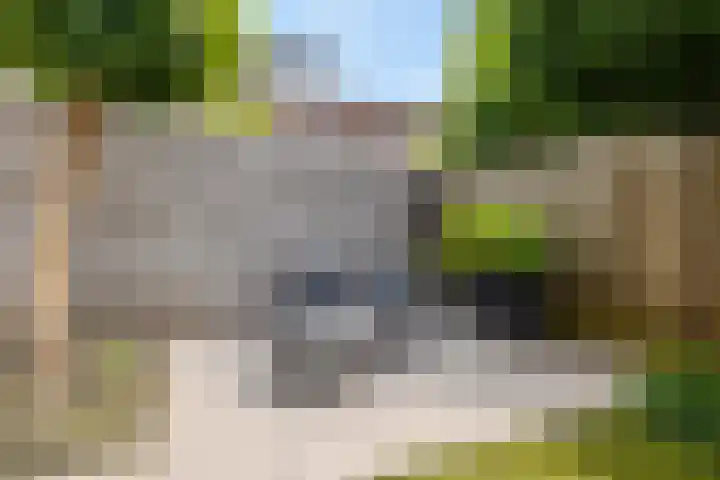 Visven 423 Veghel thumbnail 41