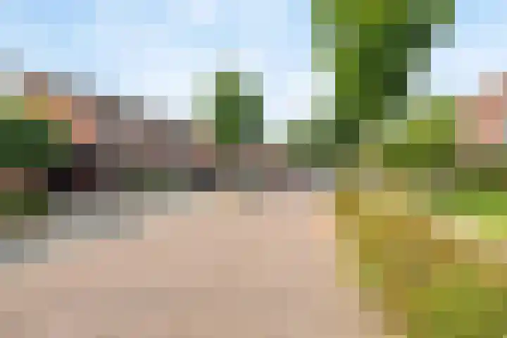 Visven 423 Veghel thumbnail 44