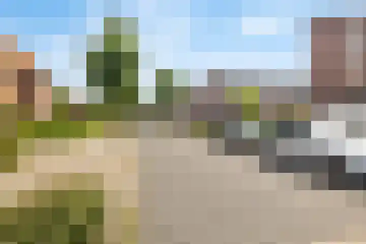 Visven 423 Veghel thumbnail 45