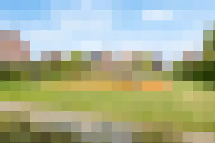 Visven 423 Veghel thumbnail 46