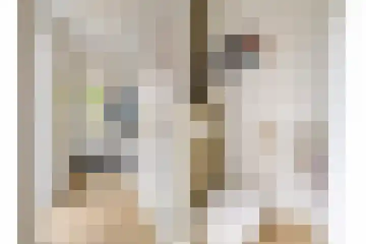 Visven 423 Veghel thumbnail 5