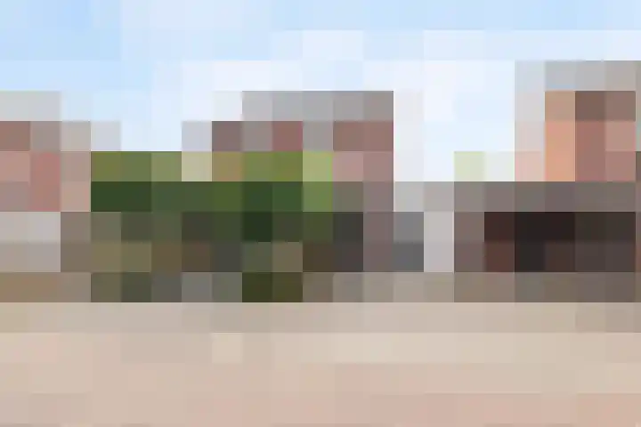 Visven 423 Veghel thumbnail 50