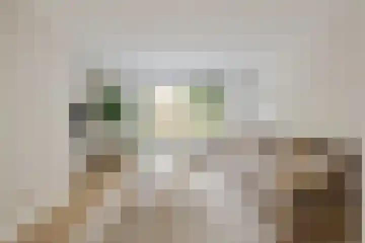 Visven 423 Veghel thumbnail 7
