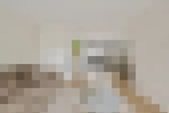 Visven 423 Veghel thumbnail 8
