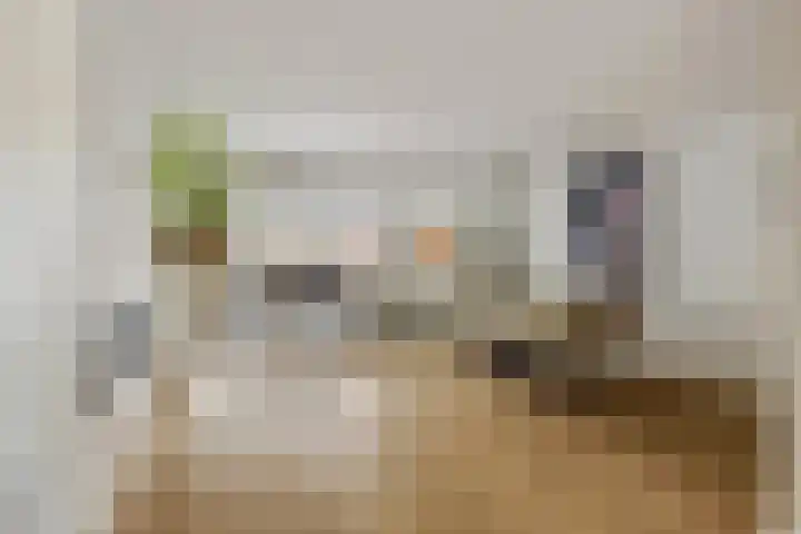 Visven 423 Veghel thumbnail 9