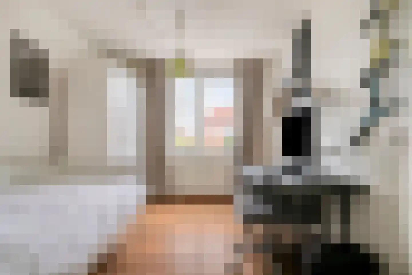 Visven 426 Veghel thumbnail 20