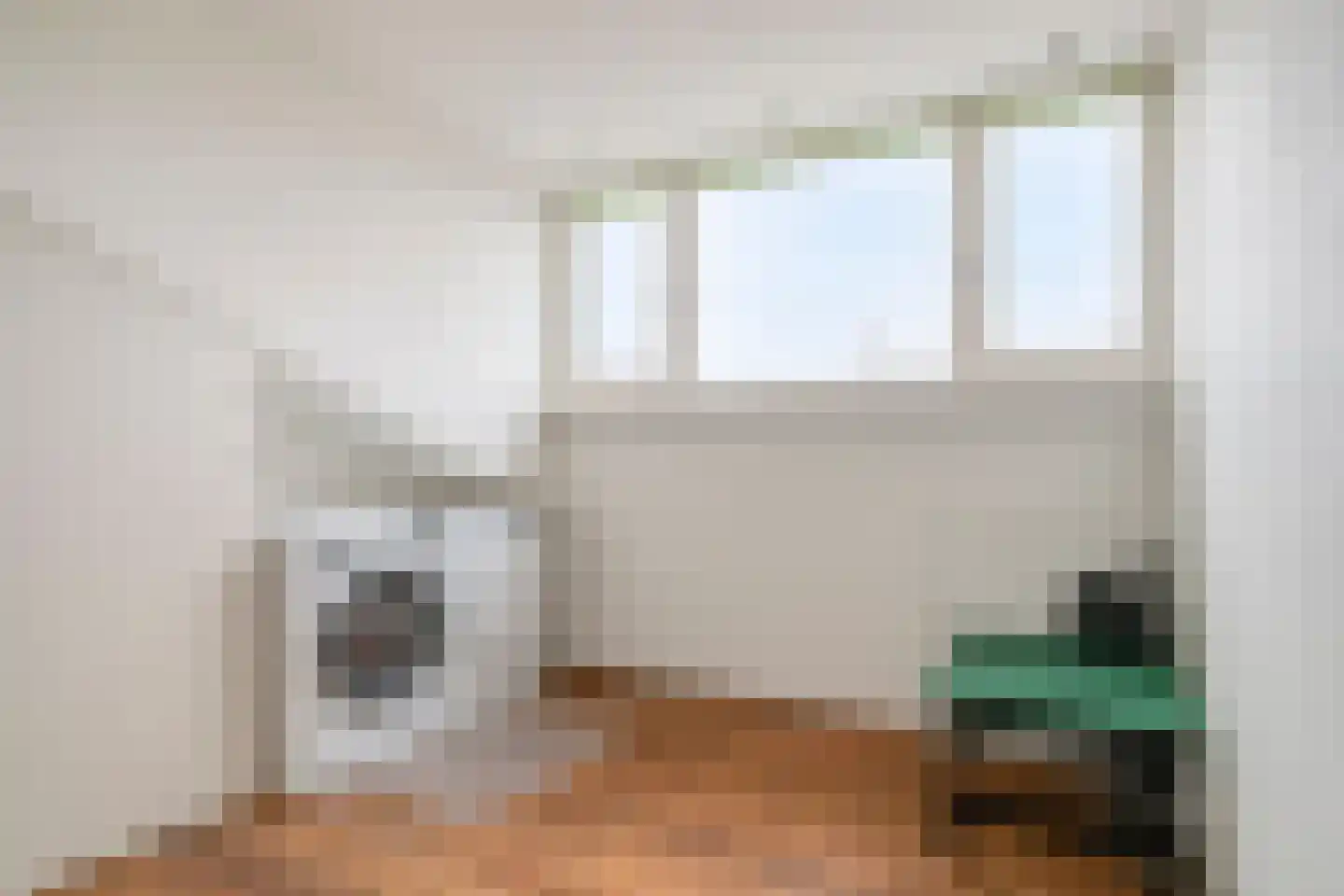 Visven 426 Veghel thumbnail 26