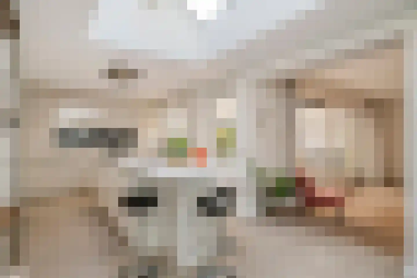 Visven 426 Veghel thumbnail 4