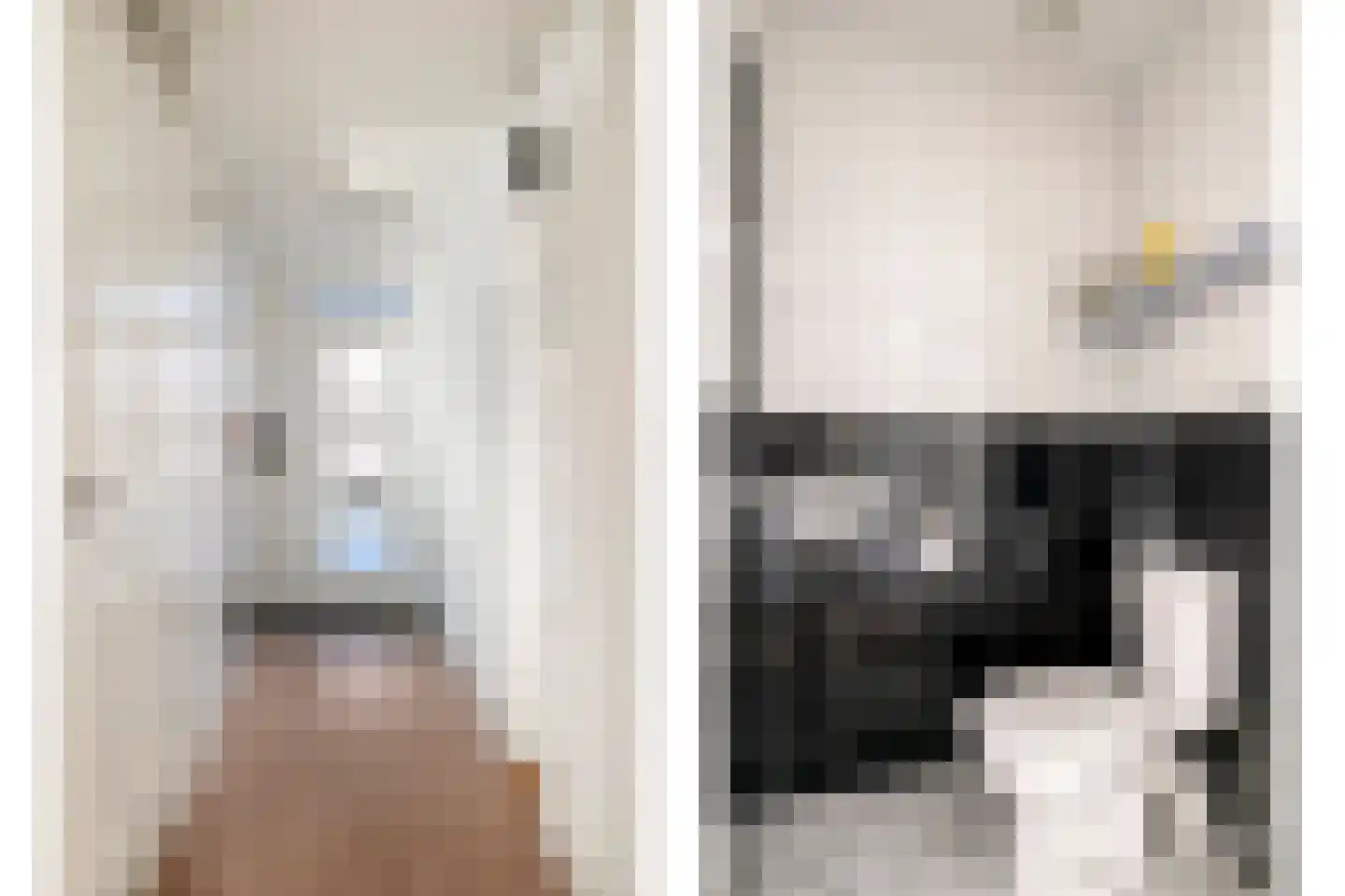 Visven 426 Veghel thumbnail 8