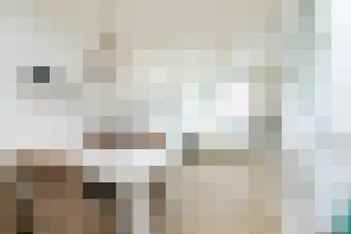 Visven 501 Veghel thumbnail 18
