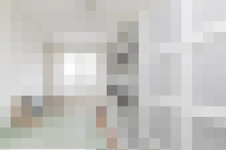 Visven 501 Veghel thumbnail 23