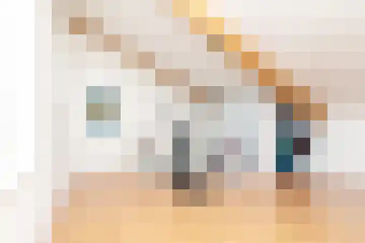 Visven 501 Veghel thumbnail 27