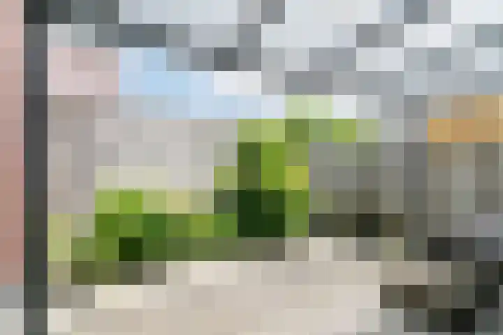 Visven 501 Veghel thumbnail 29
