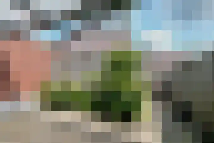Visven 501 Veghel thumbnail 33