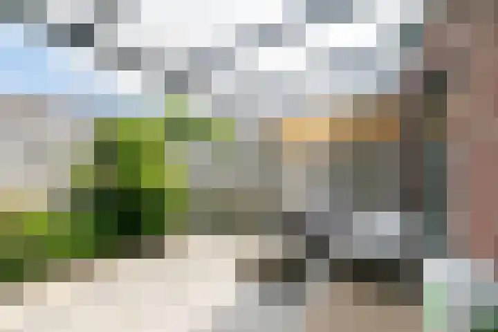 Visven 501 Veghel thumbnail 4