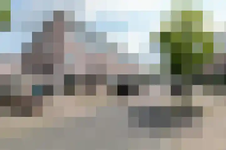 Visven 501 Veghel thumbnail 6