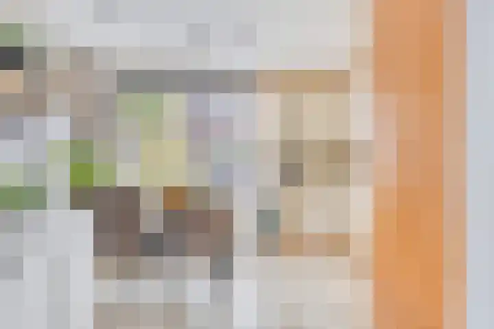 Visven 506 Veghel thumbnail 10