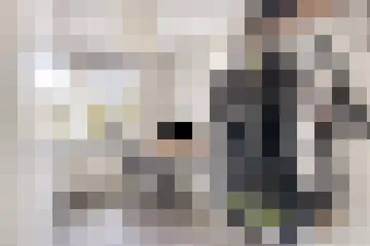 Visven 506 Veghel thumbnail 18