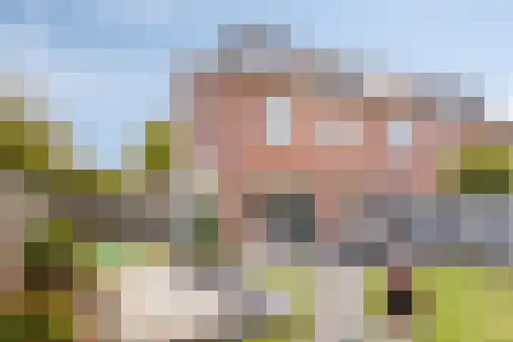 Visven 506 Veghel thumbnail 26