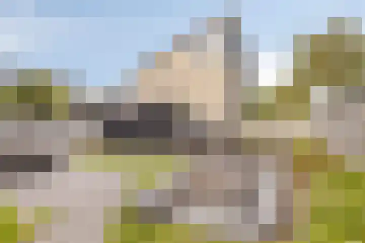 Visven 506 Veghel thumbnail 28