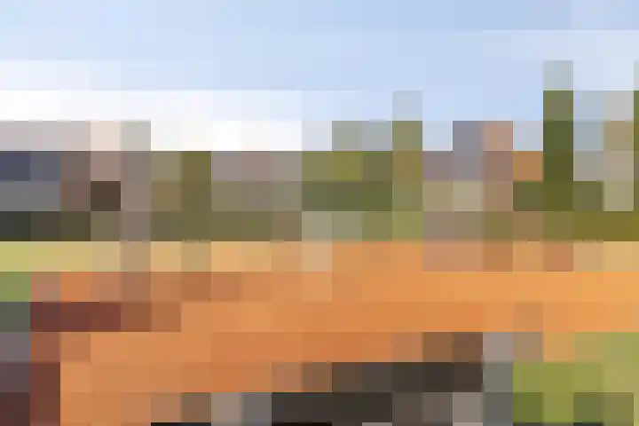 Visven 506 Veghel thumbnail 30