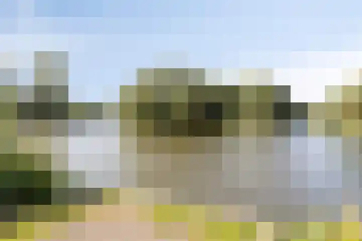 Visven 506 Veghel thumbnail 31