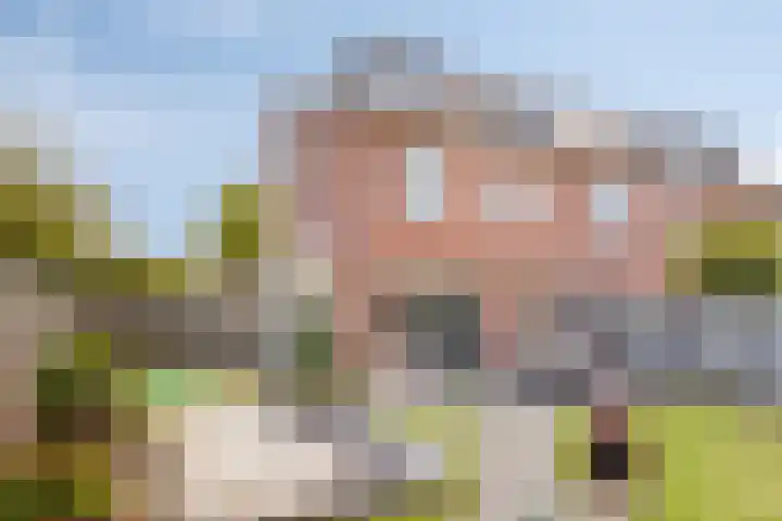 Visven 506 Veghel thumbnail 4