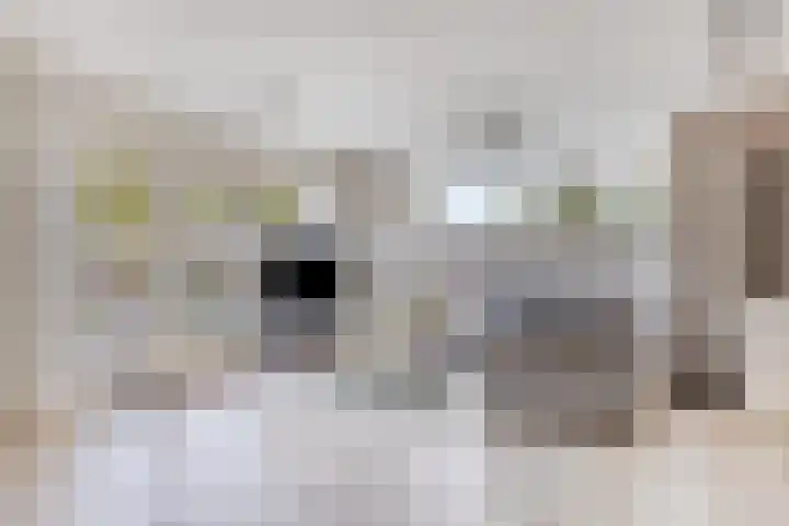 Visven 506 Veghel thumbnail 6