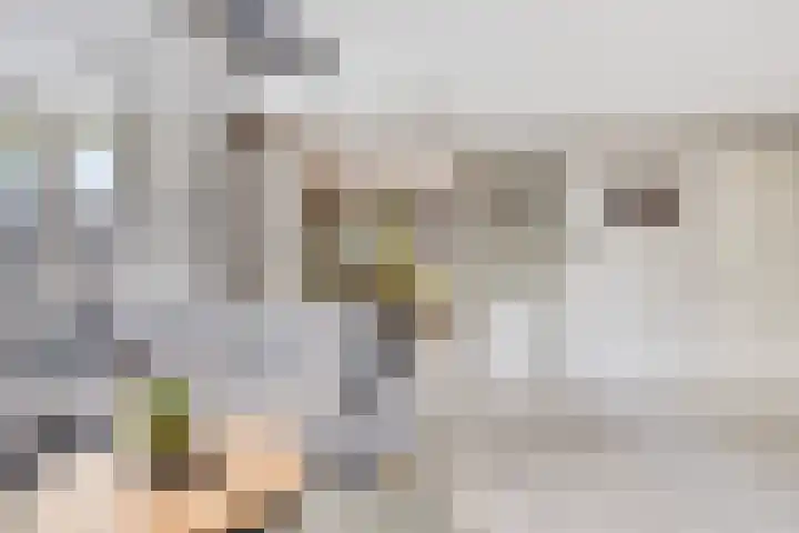 Visven 506 Veghel thumbnail 7
