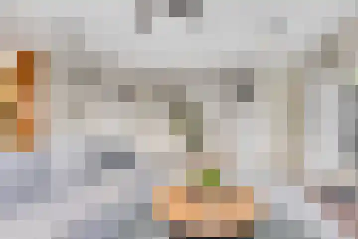 Visven 506 Veghel thumbnail 8
