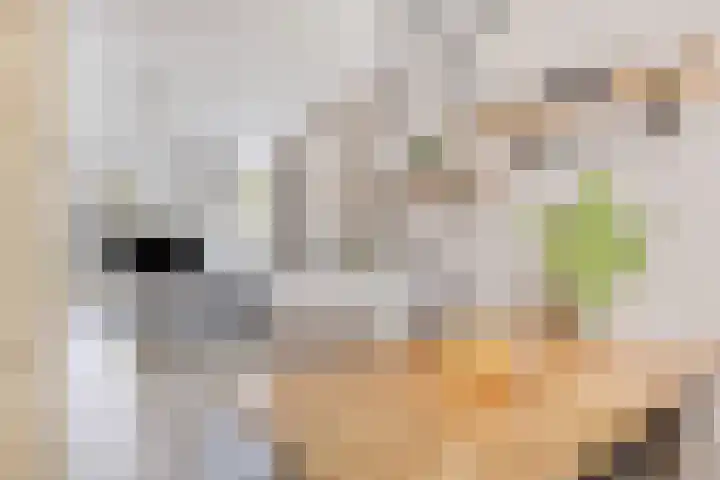 Visven 506 Veghel thumbnail 9