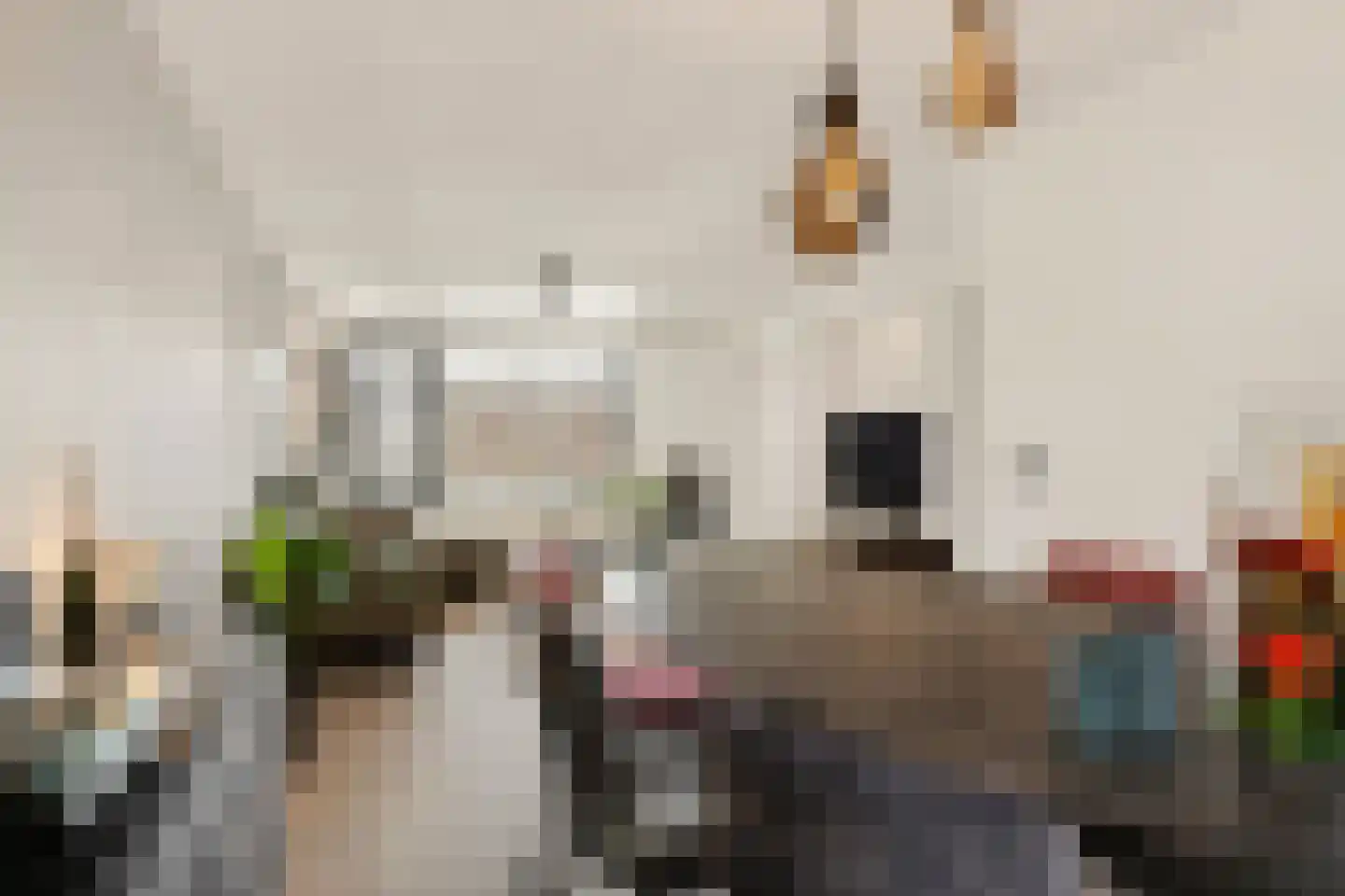 Visven 516 Veghel thumbnail 17