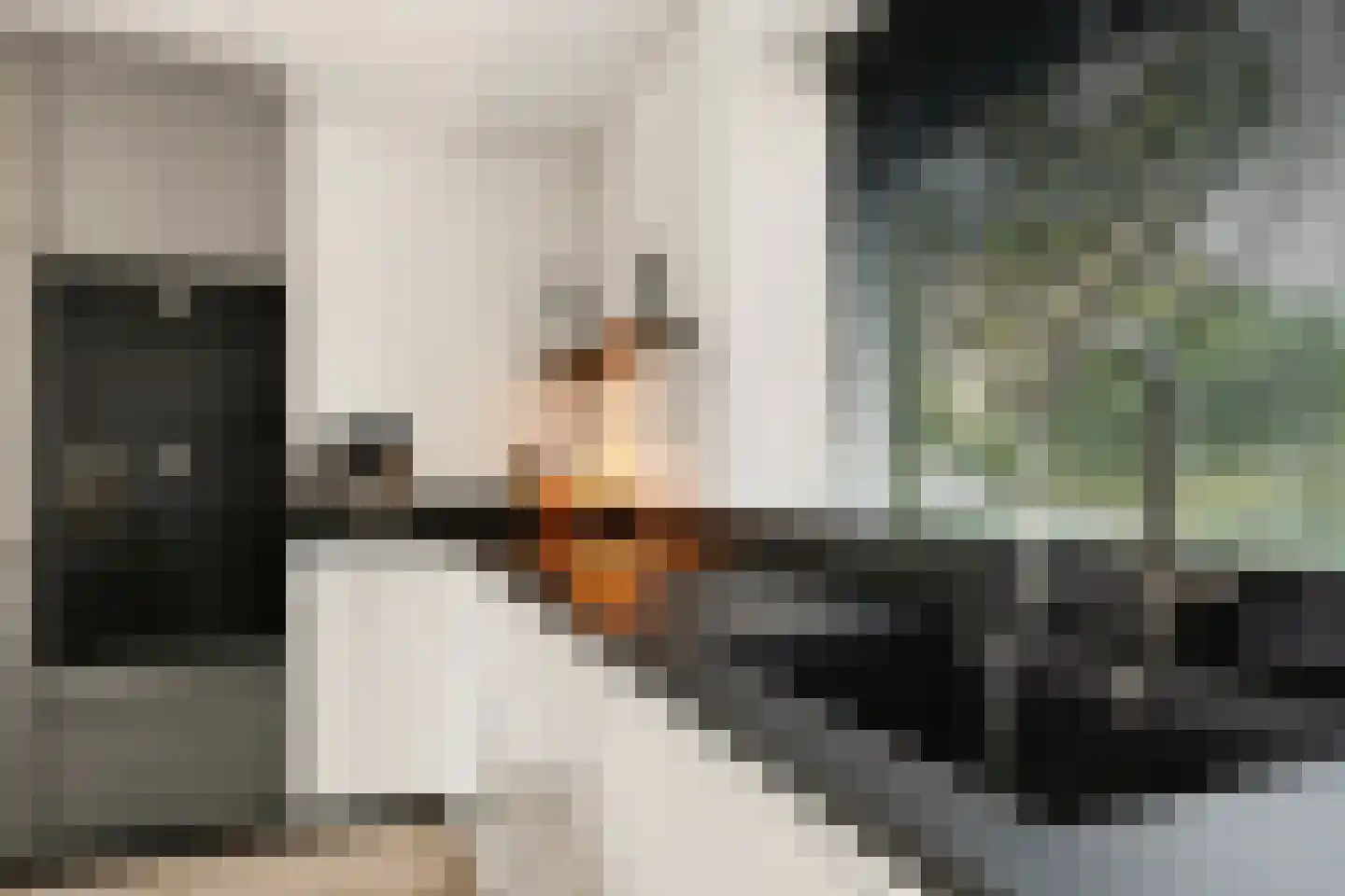 Visven 516 Veghel thumbnail 19