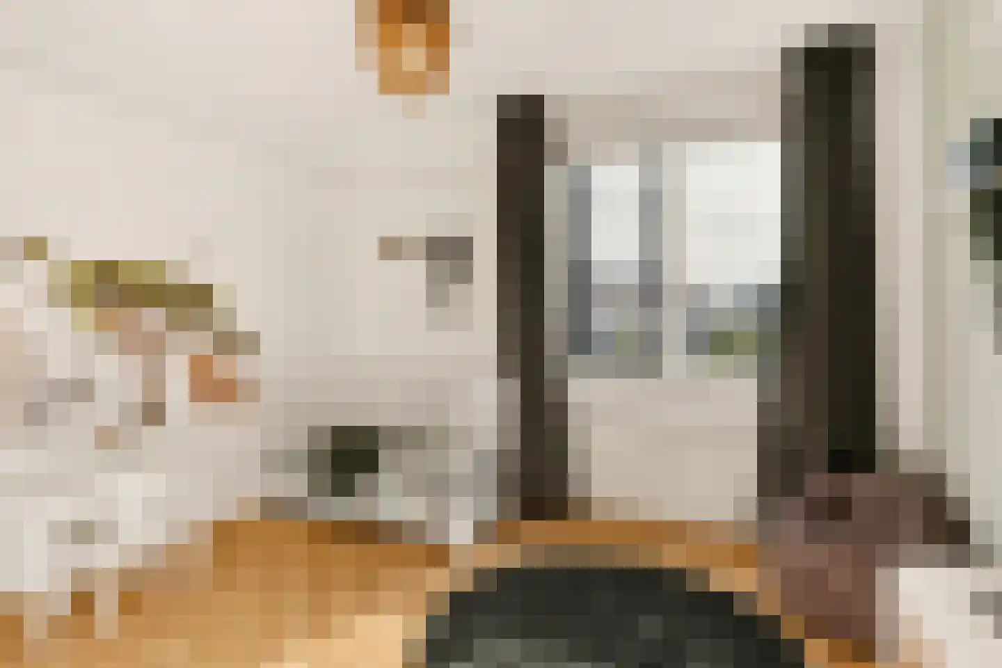 Visven 516 Veghel thumbnail 24