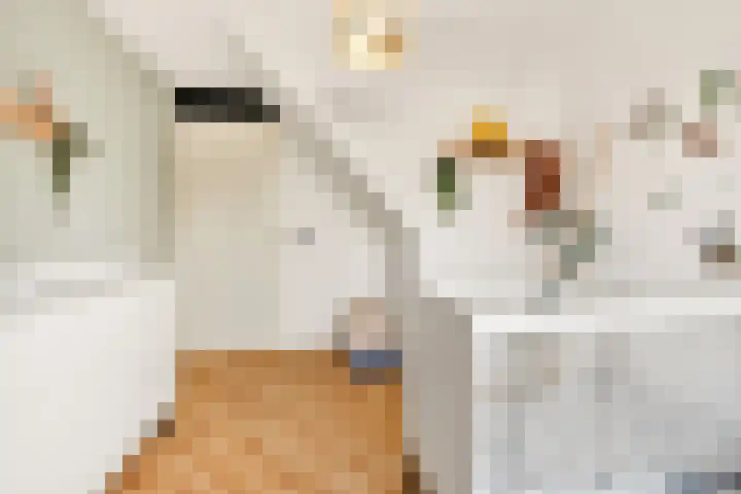 Visven 516 Veghel thumbnail 27