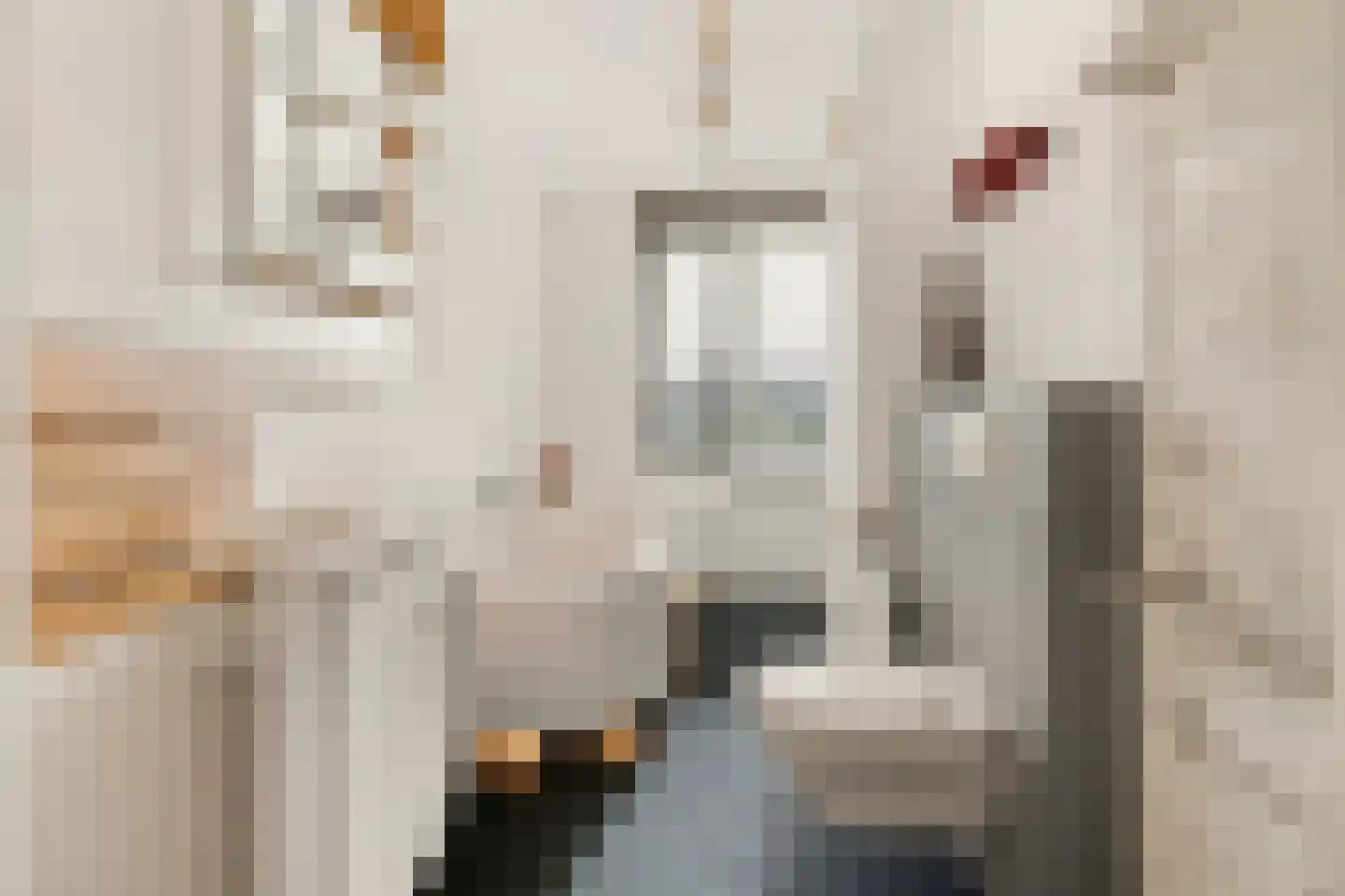 Visven 516 Veghel thumbnail 28