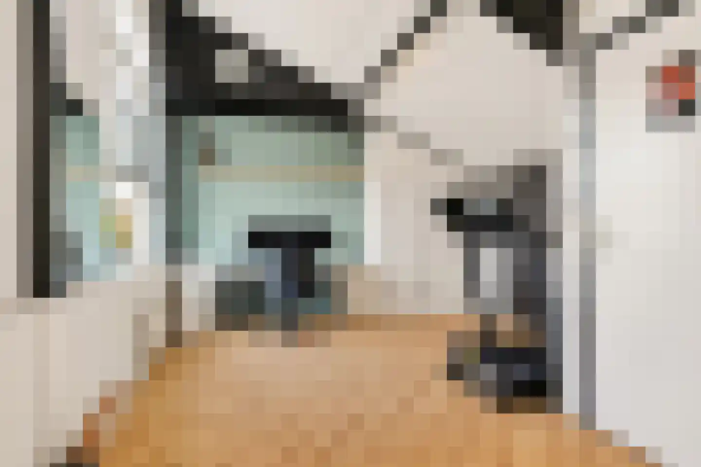 Visven 516 Veghel thumbnail 30