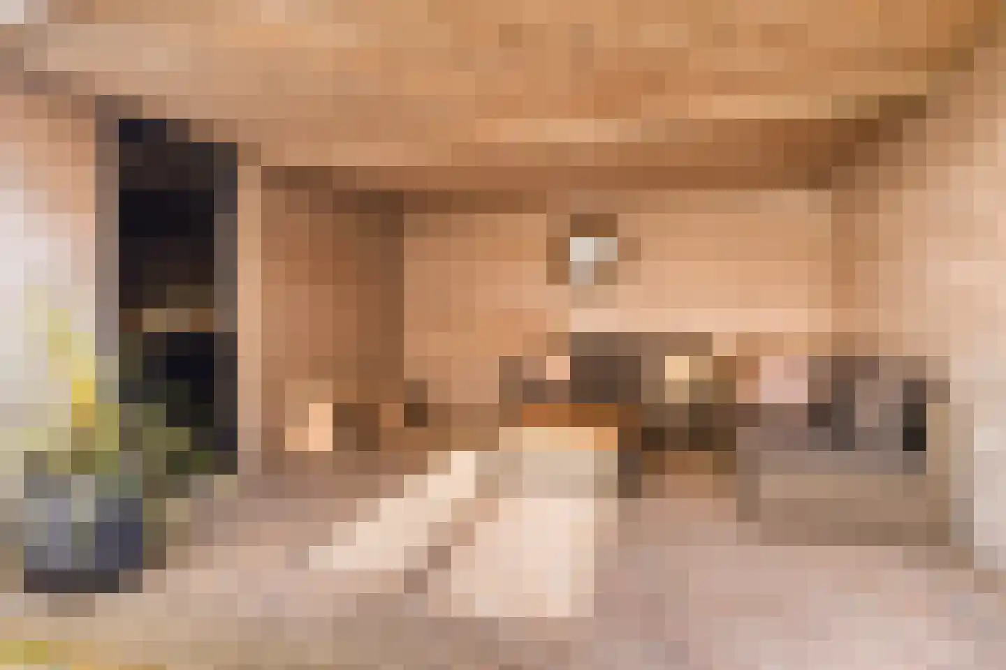 Visven 516 Veghel thumbnail 35