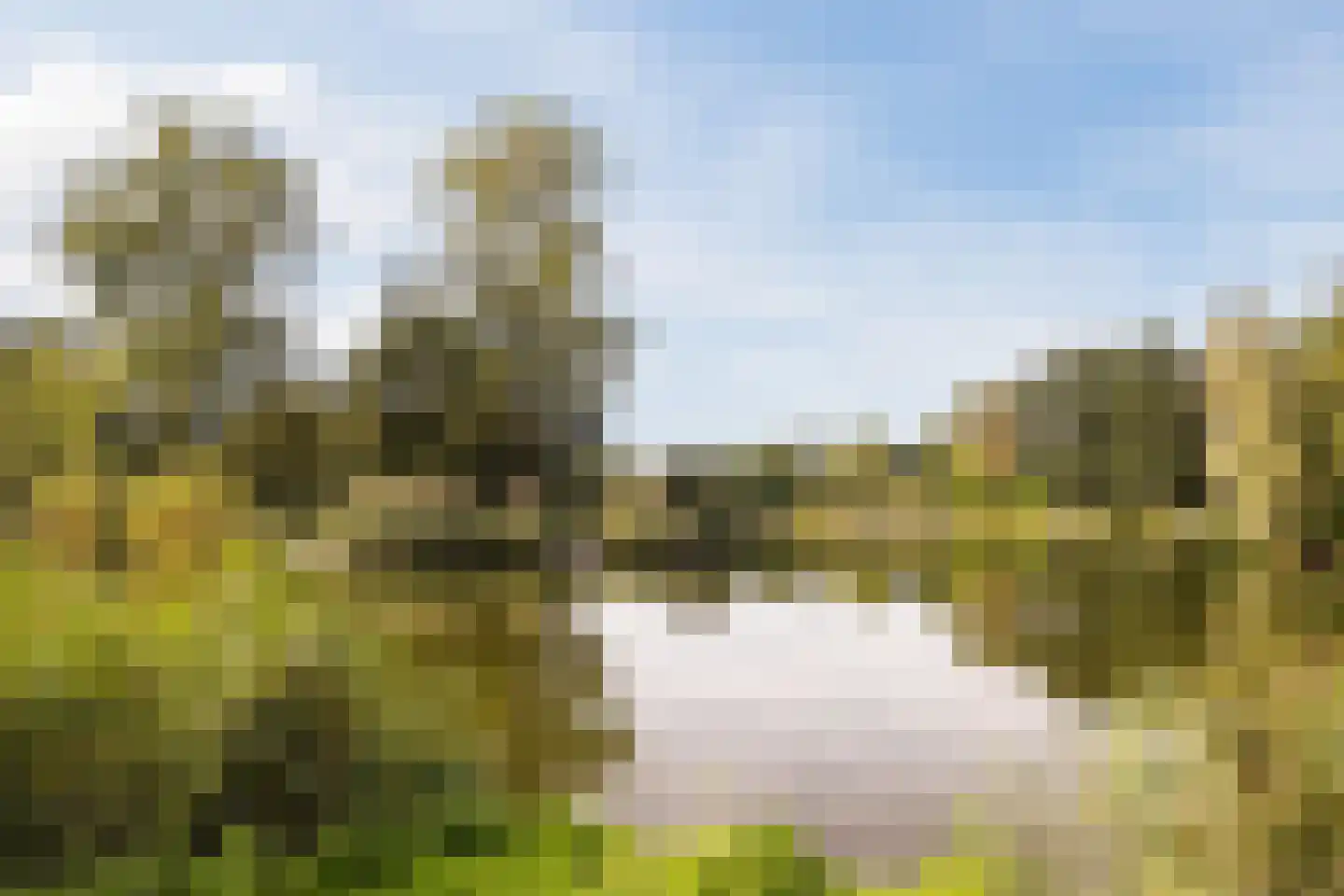 Visven 516 Veghel thumbnail 41