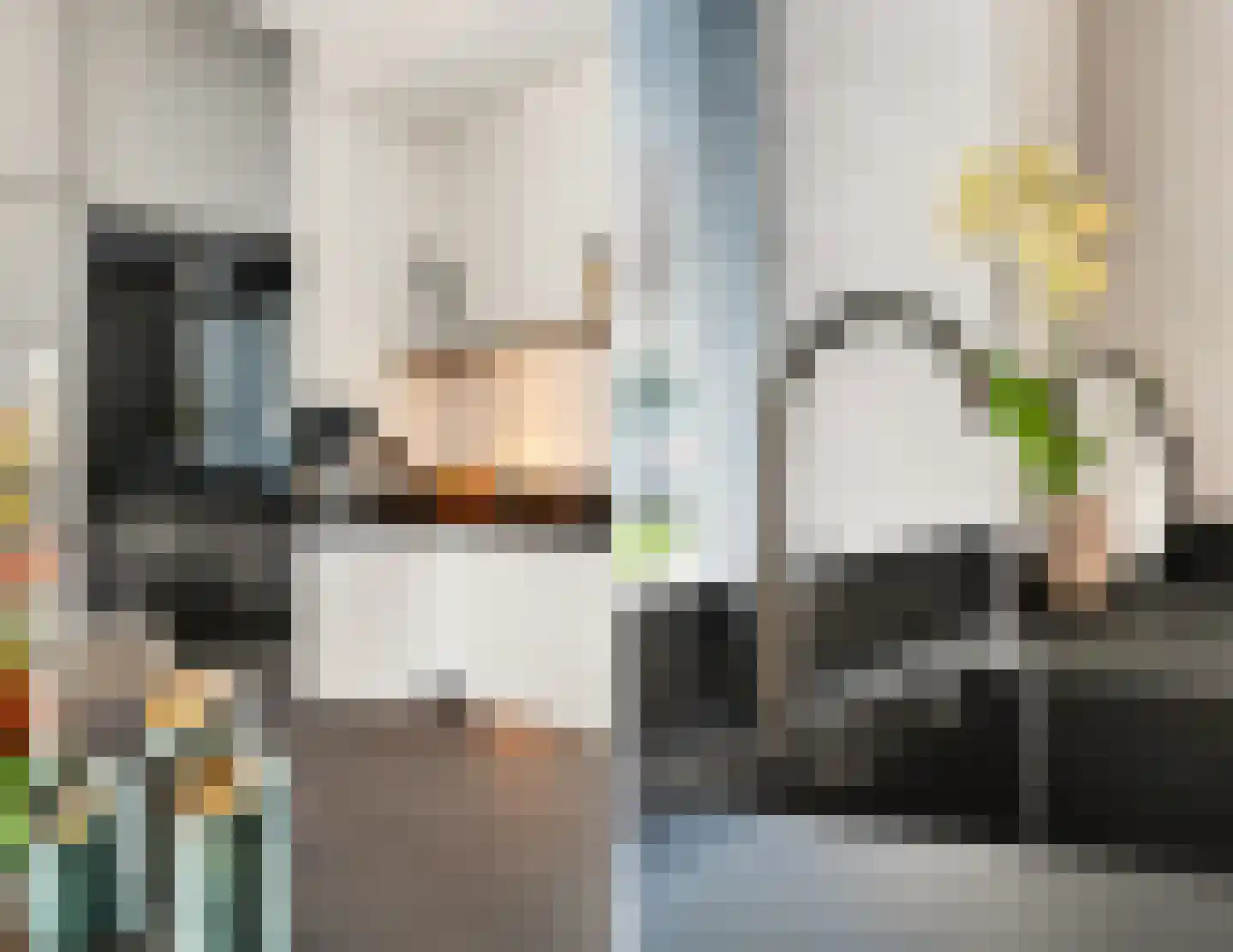 Visven 516 Veghel thumbnail 6