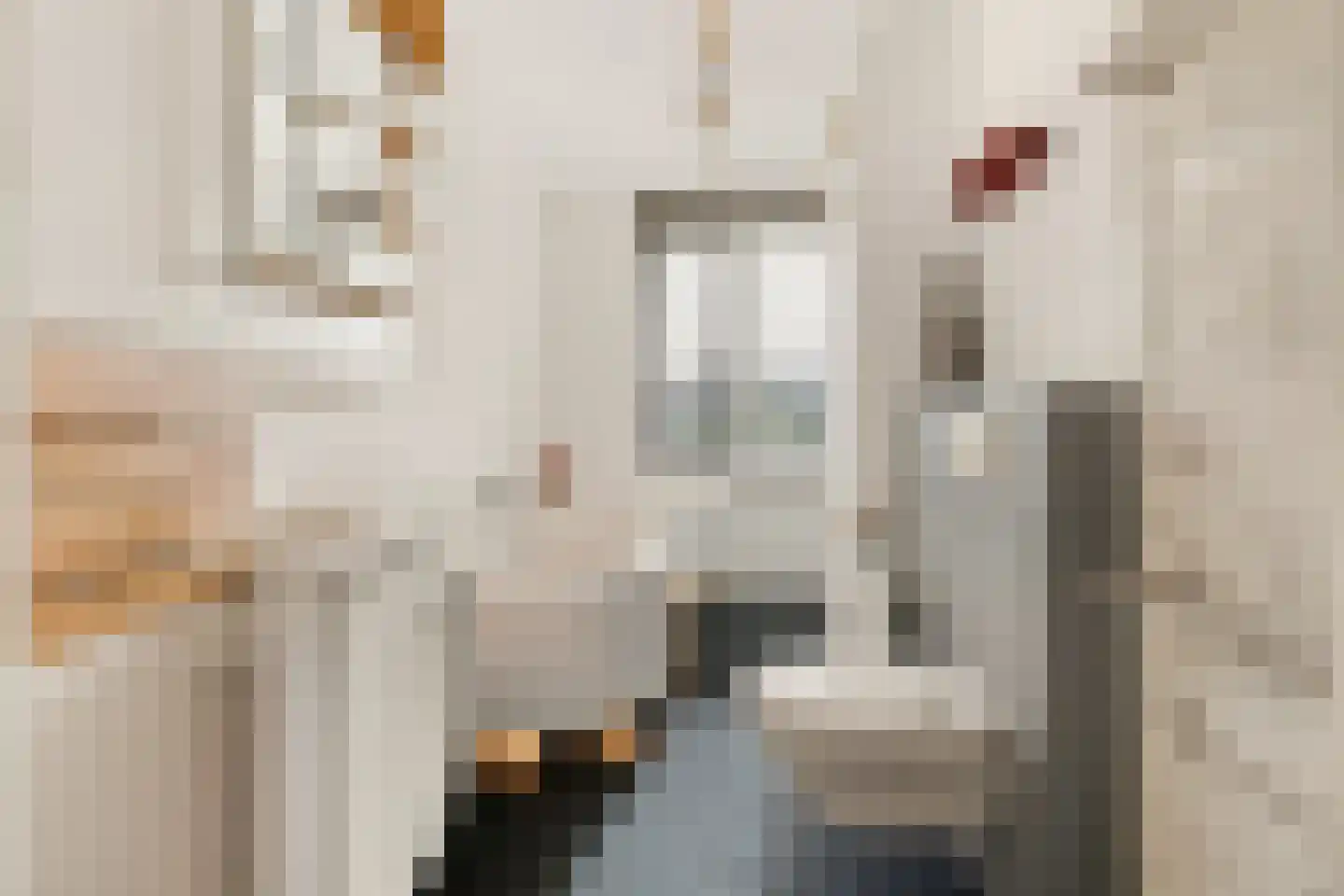 Visven 516 Veghel thumbnail 8