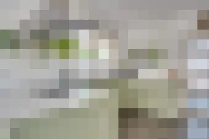Visven 55 Veghel thumbnail 19