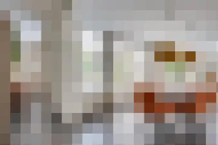 Visven 55 Veghel thumbnail 20